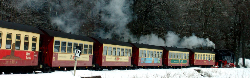 Harzer Schmalspurbahn bei Schierke