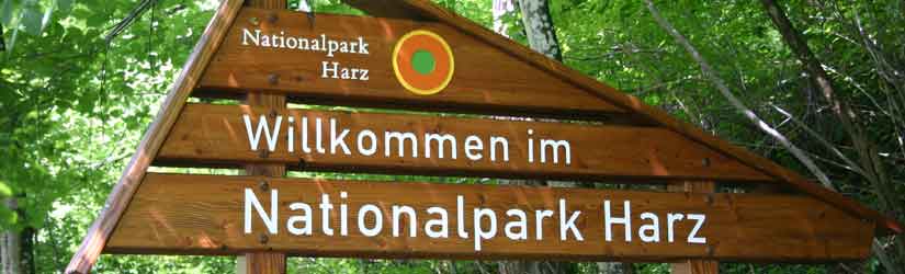 Schild zum Nationalpark Harz, Kopf, Foto: Ingrid Nörenberg