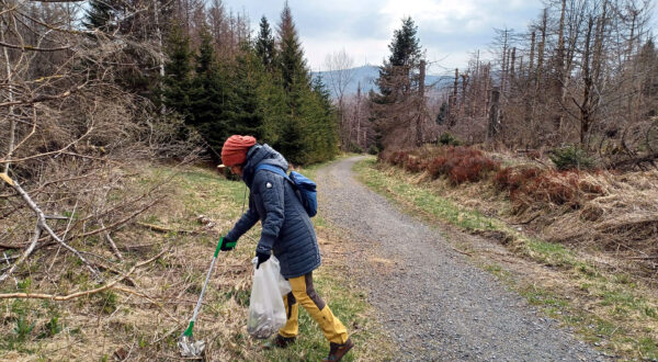 Eine Teilnehmerin der Müllsammelaktion der Geocacher im Nationalpark Harz im vergangenen Jahr. 
