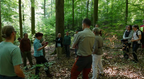 Sabine Bauling, die als Fachbereichsleiterin für die Waldbehandlung im Schutzgebiet verantwortlich ist (links), erläuterte den Expert*innen bei der Exkursion die praktische Arbeit der Nationalparkverwaltung, hier am Beispiel des Schimmerwalds, einem naturnahen Buchenwald Foto: Martin Baumgartner, Nationalpark Harz;