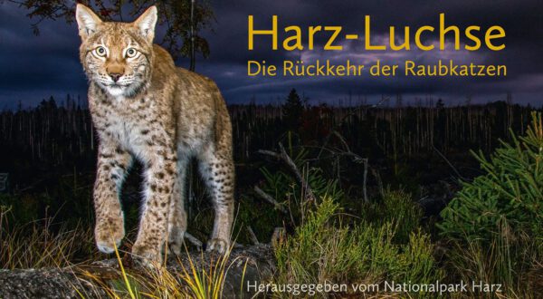 Buch-Cover „Harz-Luchse – Die Rückkehr der Raubkatzen“, Foto: Mitzkat Verlag