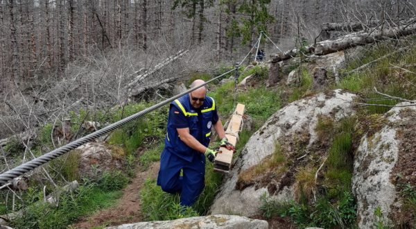 Das THW errichtete im schwierigsten Teilabschnitt eine Transportseilbahn. Fotos: Jens Geffert, Nationalpark Harz;