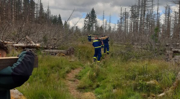 Auf dem Rest der Strecken beförderte die THW-Truppe das Material per Hand – eine kräftezehrende Ausbildung.Fotos: Jens Geffert, Nationalpark Harz;