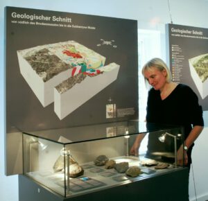 Klassische Quadratmeile im Museum Goslar, A. Daub 2008, Foto: Stedingk