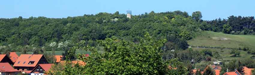 Austbergturm über Benzingerode